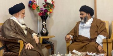 دیدار رئیس امور خارجی مجلس وحدت مسلمین پاکستان با نماینده ولی فقیه در عراق