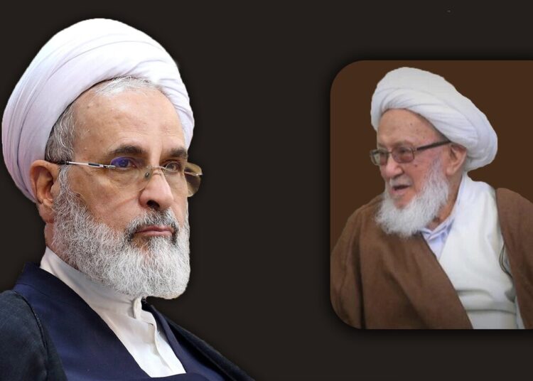 نوآوری‌های علمی، فقهی،خدمات دینی و تبلیغی از آیت الله العظمی فیاض شخصیتی برجسته ساخته بود