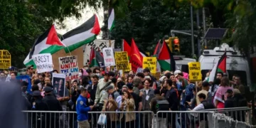 مقال | من التضامن مع إسرائيل إلى الاعتراف بفلسطين.. كيف تغير العالم بعد 7 أكتوبر؟
