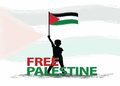 آمادگی بیش از ۲۰۰ سازمان در بیش از ۶۰ کشور برای حمایت از فلسطین